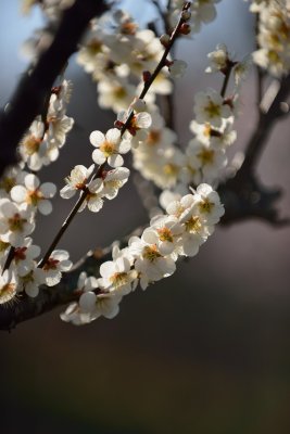 20130323_106w.jpg