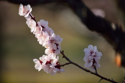 20130323_124w.jpg