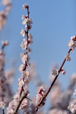 20130323_135w.jpg