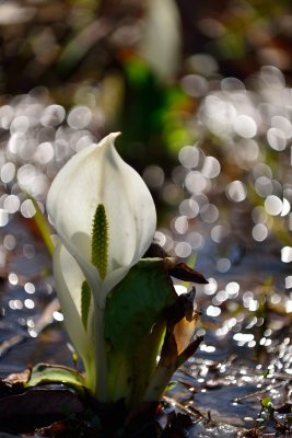 20130323_261w.jpg