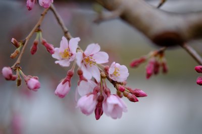 20130331x0008w.jpg