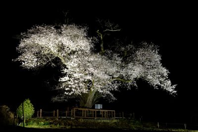 20130404x0012w.jpg