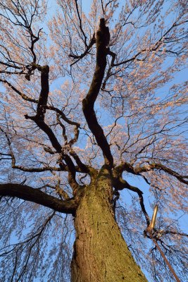 20130413_031w.jpg