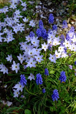 20130413x0019w.jpg