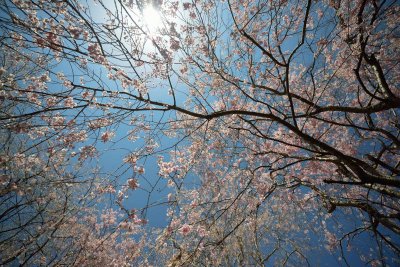 20130413_212w.jpg