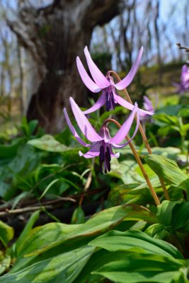 20130413_321w.jpg