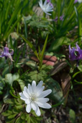 20130413_334w.jpg
