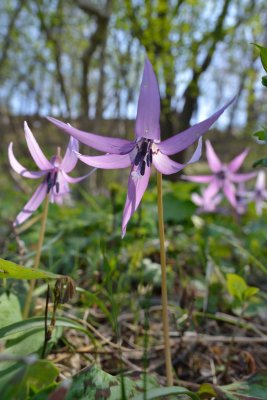 20130413_361w.jpg