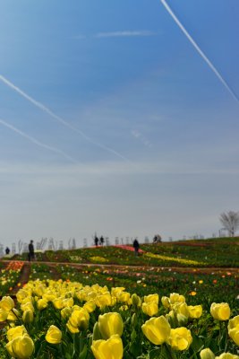 20130429_015w.jpg
