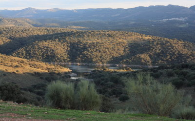 g2/84/961584/3/147371597.2kNrlSeI.jpg