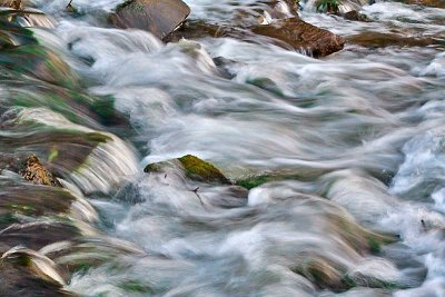 lundrog-water ex pp.jpg
