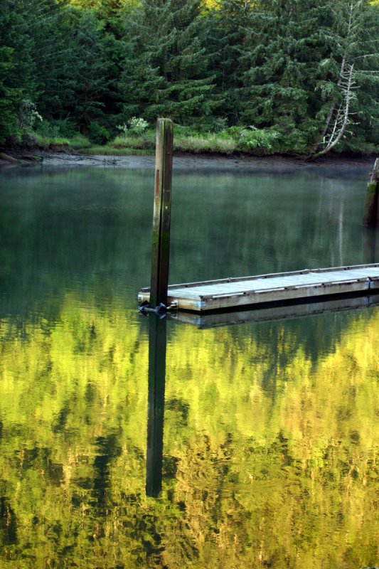 Reflection