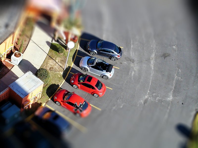 Tilt-Shift Beetles