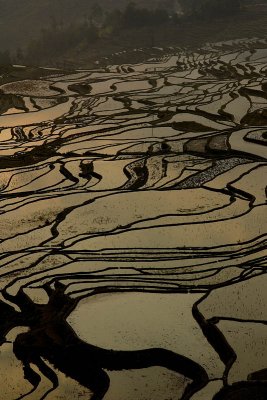 DSC_0744s.jpg