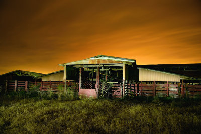 DEC_0129 Waller County Livestock Auction Barn
