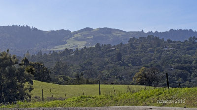 P2234023.jpg