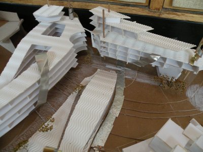 DSCN3629.jpg