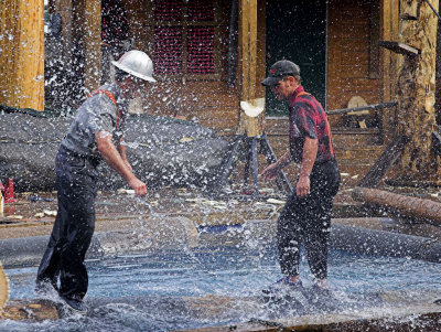 The Great Alaskan Lumberjack Show