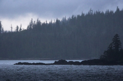 Distant shores