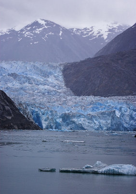 Tracy Arm - Sawyer Glacier