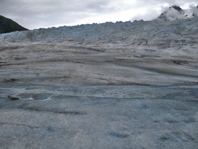 Mendenhall Glacier - 19