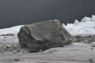 Mendenhall Glacier - 25