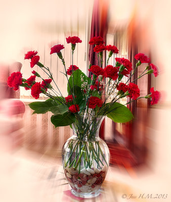 Red Carnations 