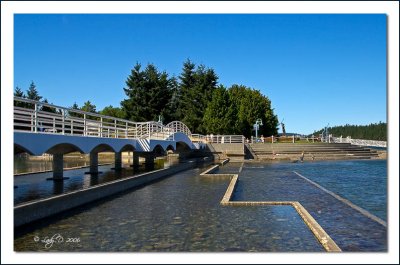 Sway - A - Lana Lagoon  Nanaimo Harbour