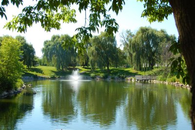 Quiet countryside