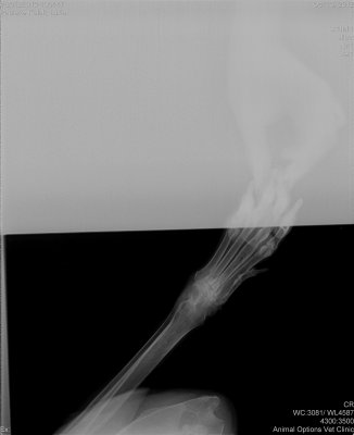 g2/85/702985/3/147404061.aIWebHRN.jpg