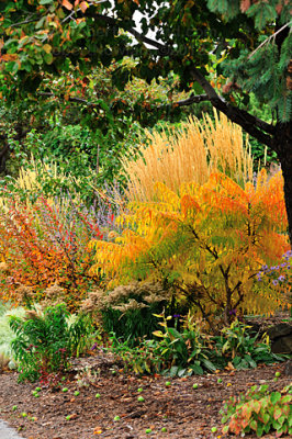 Fall colours_2048.jpg