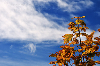 Fall is in the air_2284.jpg