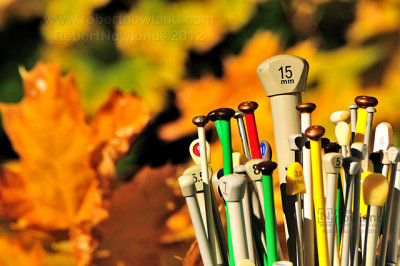 Fall knitting_2303.jpg