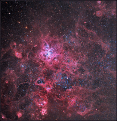 The Tarantula Nebula - NGC 2070