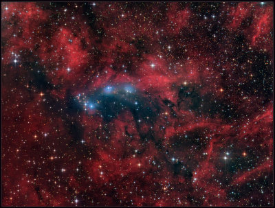 NGC 6914 in Cygnus