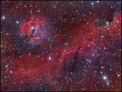 IC 2177  The Seagull nebula