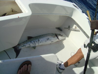 14 finally in the boat.JPG