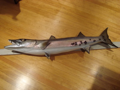 DSC09071.JPG