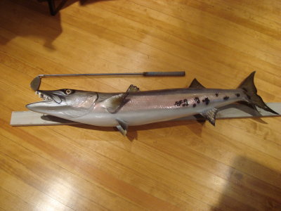 DSC09072.JPG