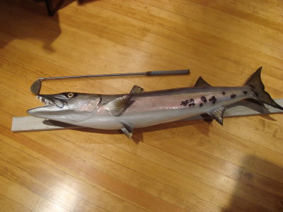 DSC09073.JPG