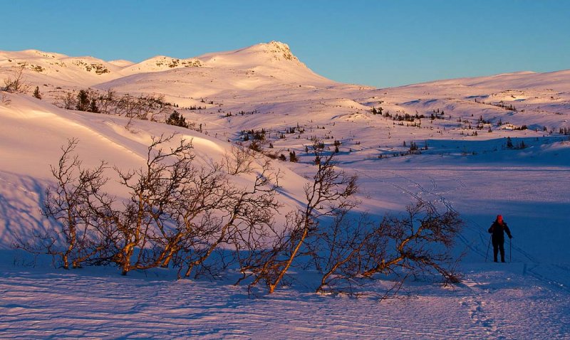 Skiing at Norefjell