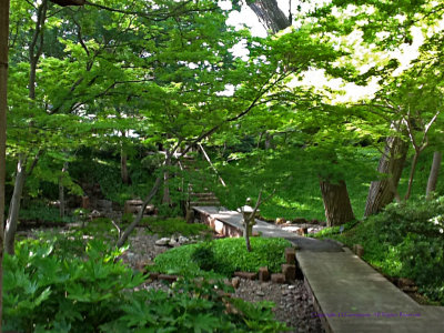Through A Japanese Garden