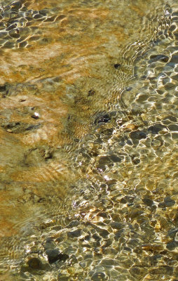 Ripples In A Stream
