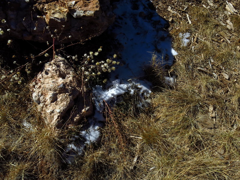 2012-11-12 16.06.09_resize.jpg