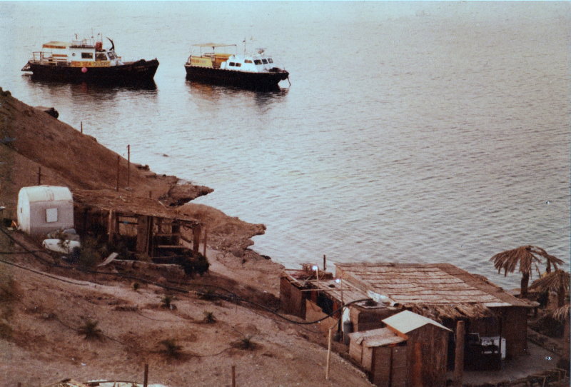 Dolphin 9  Red Sea Divers Dive Boats  ed_resize.jpg