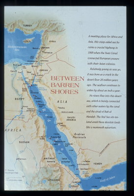 094 Nat Geo article on Red Sea_resize.jpg