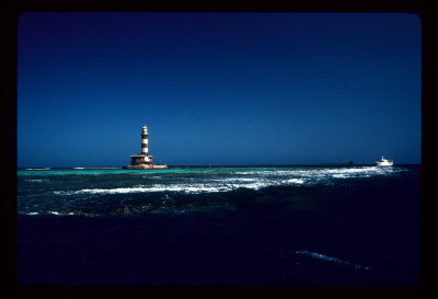 103 Daedalus Reef Egypt Red Sea_resize.jpg