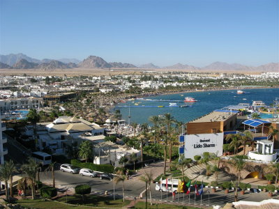 106 Naama 2009_resize.JPG