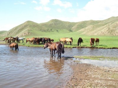 Rob Burvill Mongolia 2006