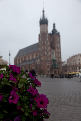 Krakow Old Town 3